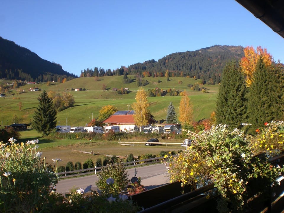 View from property