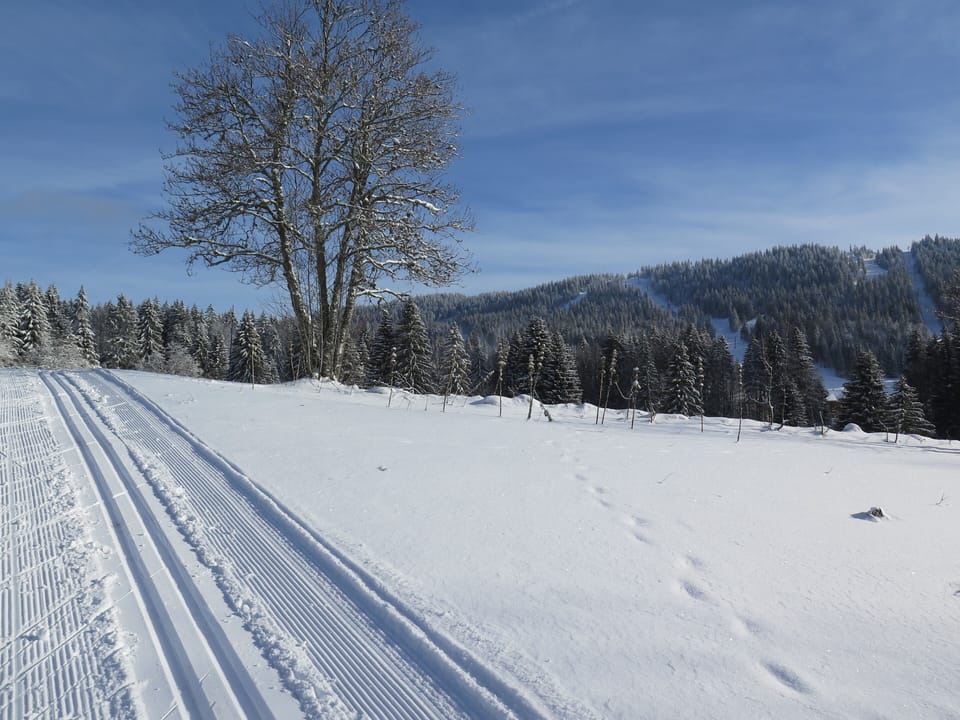 Snow and ski sports
