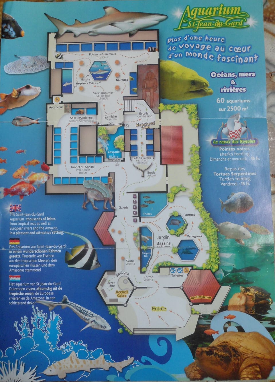Property map