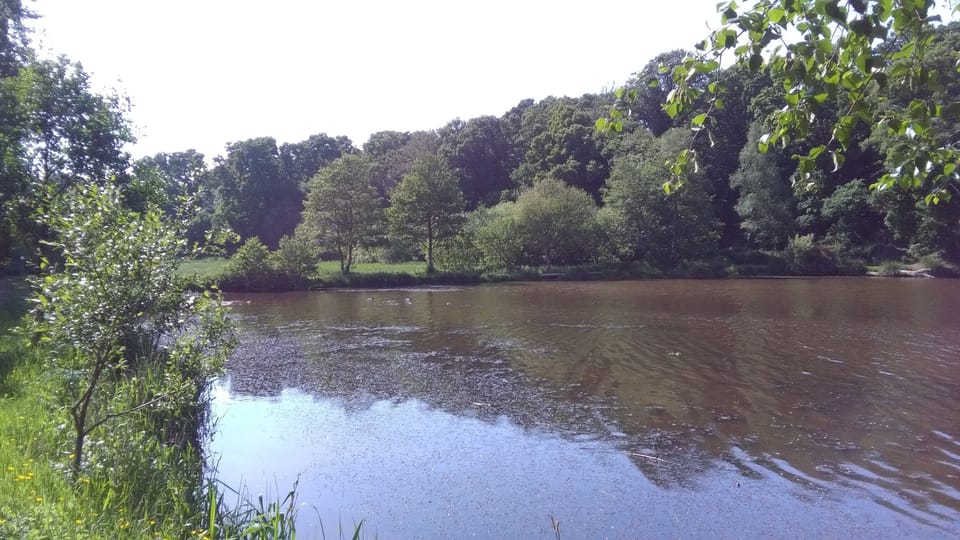 Lake