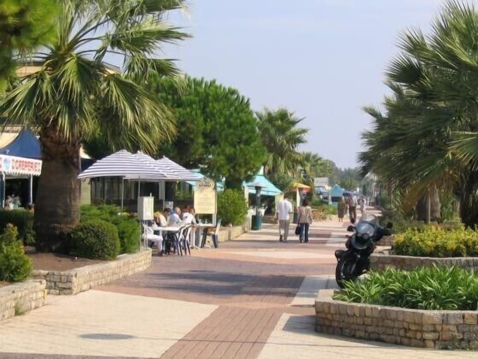 Walk of the seaside: restaurants, discotheques, beach in 2,4 km. 