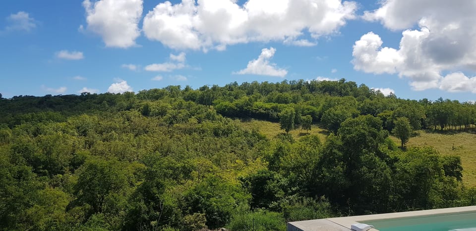 View from property