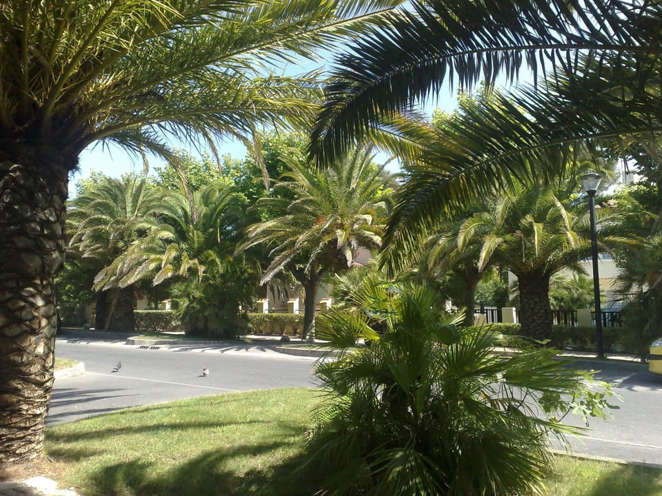Property grounds
