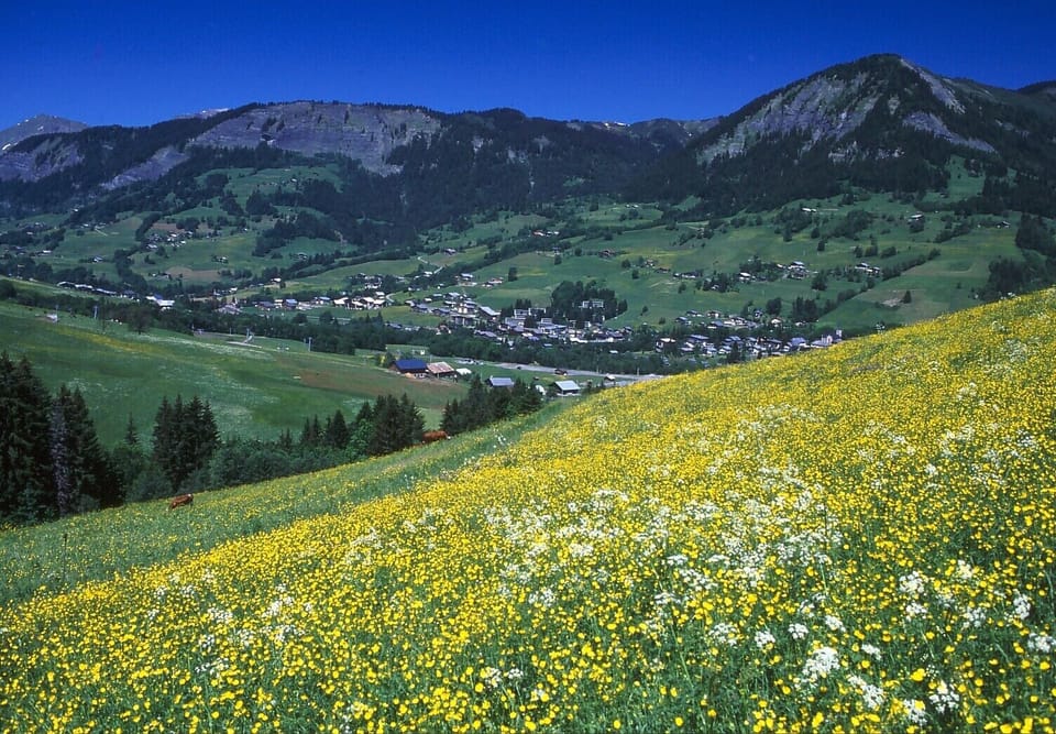 Praz sur Arly in summer