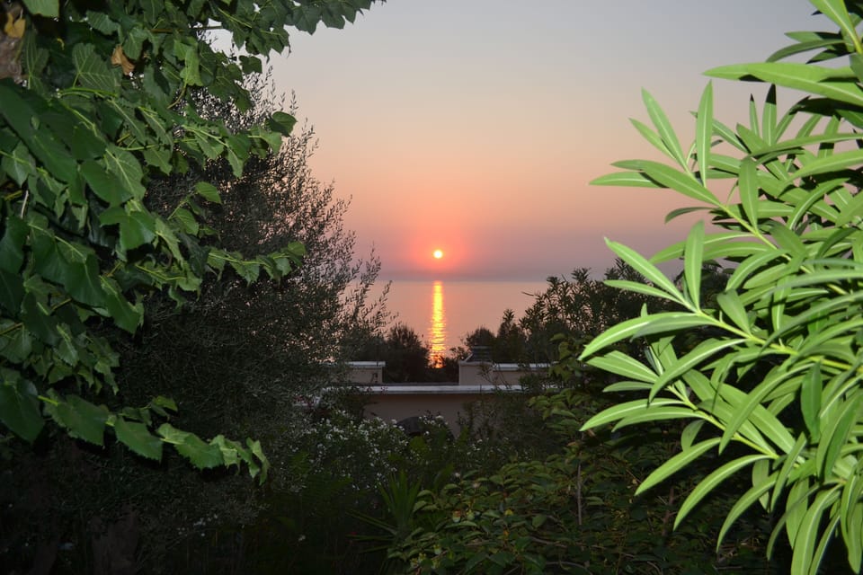 lever de soleil du jardin