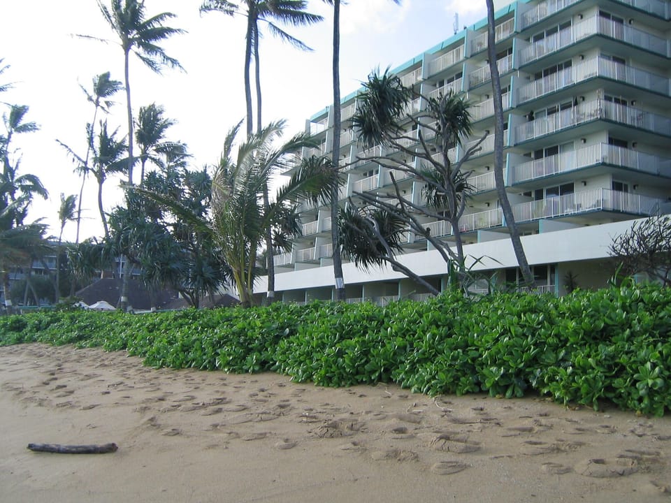 Pat's at Punaluu & beach