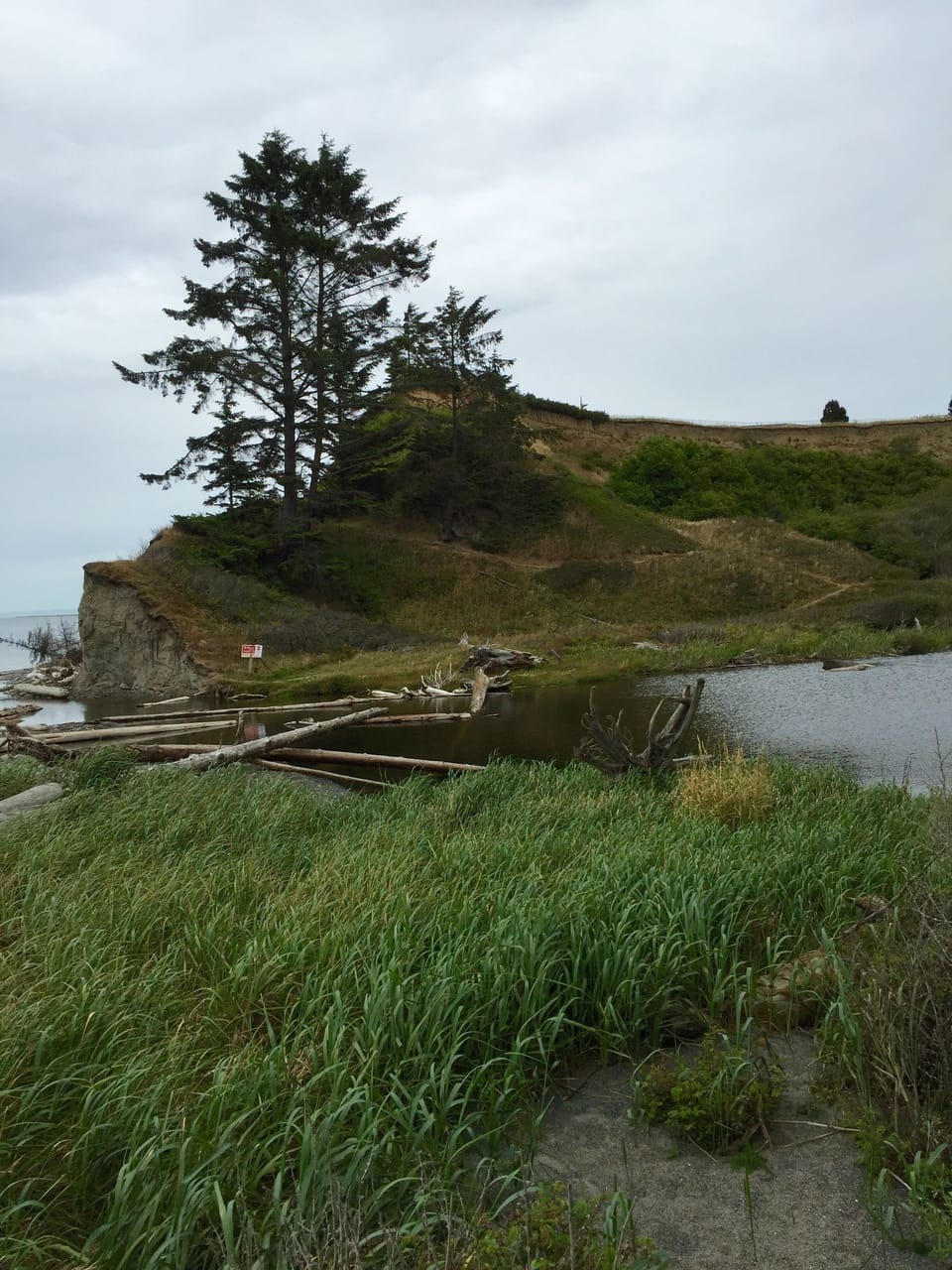 Fresh water lagoon spills on to the salt water beach