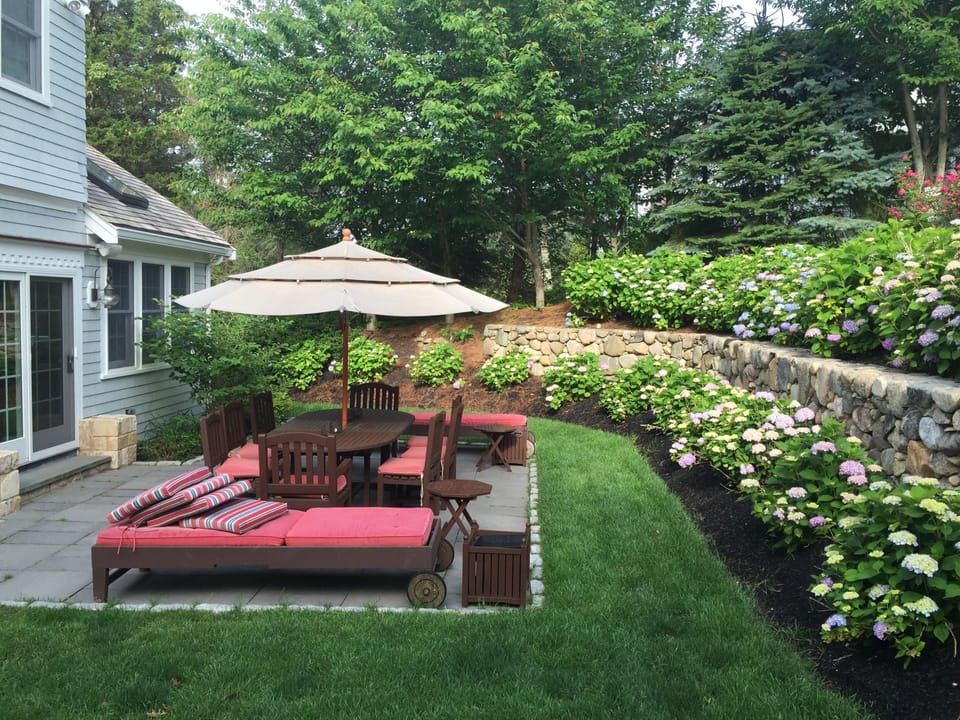 Backyard dining 