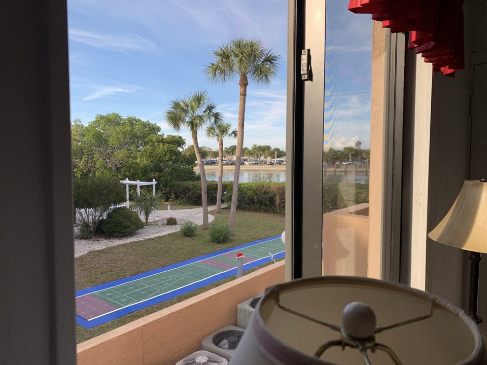 View from Bedroom