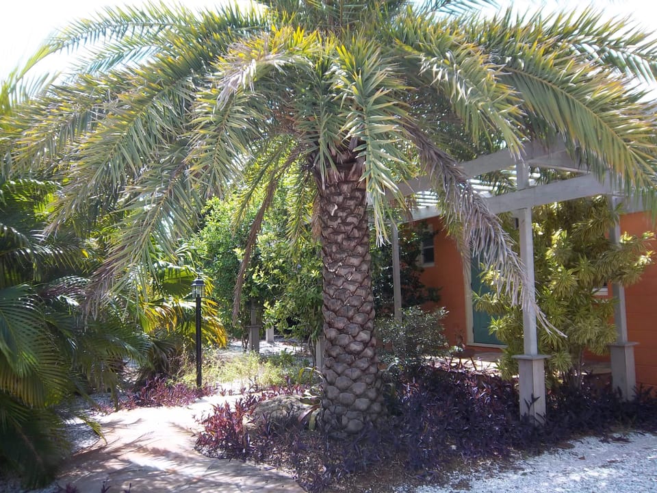 Lush landscaping surrounds the property