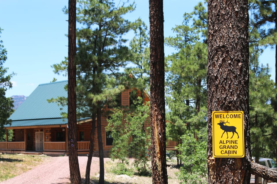 Driveway into cabin
