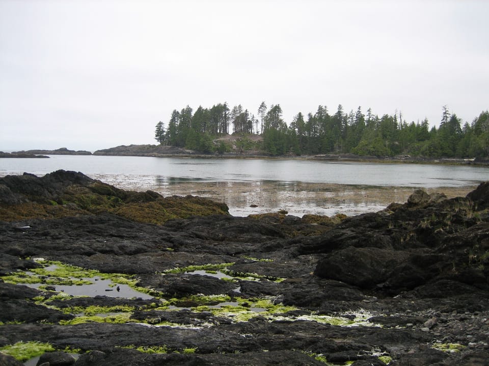 low tide in Tofino