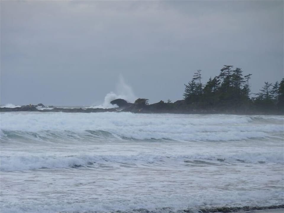 The Wild West Coast