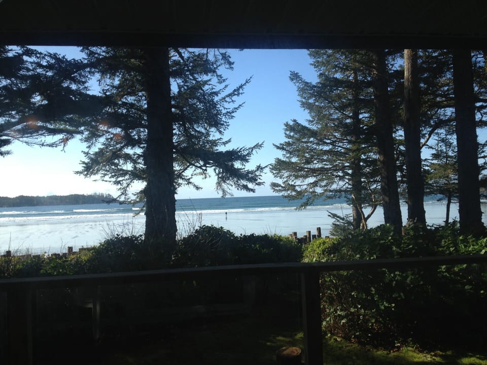 view from the dining room