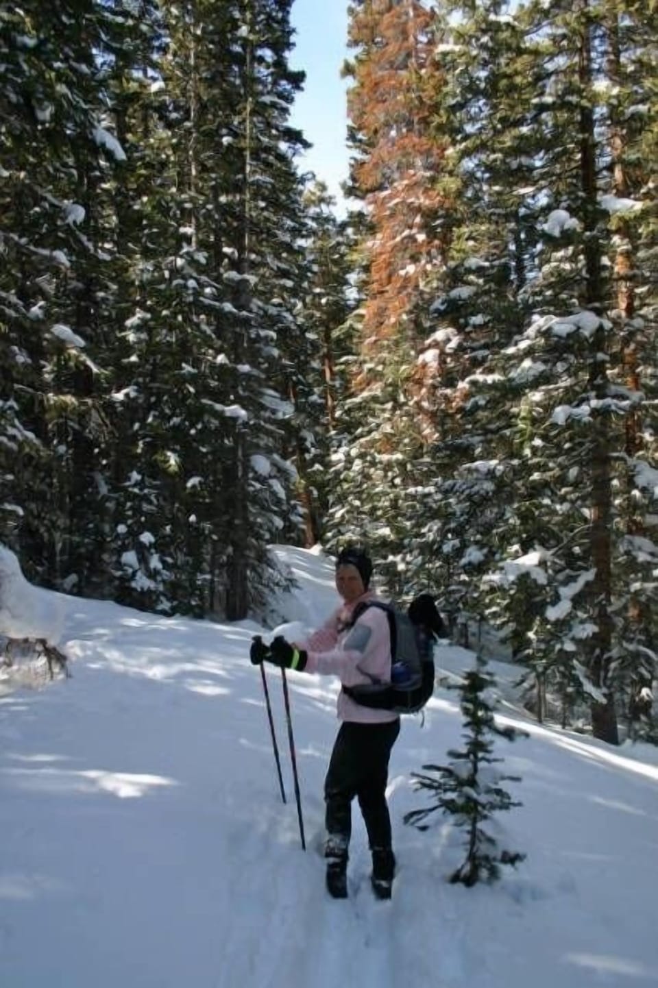 Cross-country skiing on the Wheeler Trail in Breckenridge