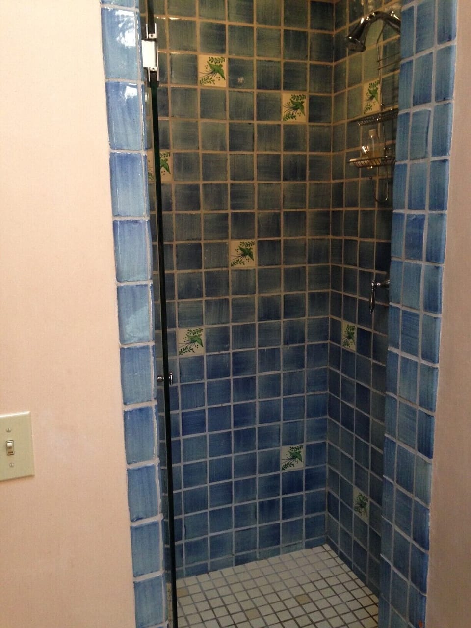 Master bath shower with talavera tiles.