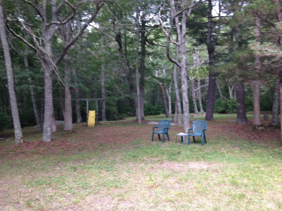 wooded backyard