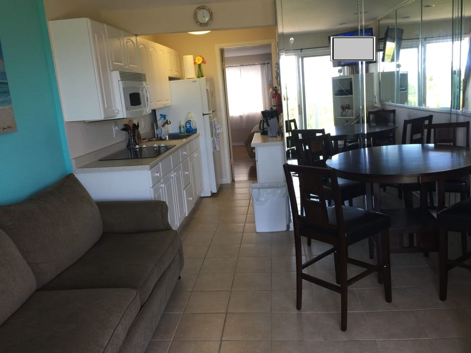 Living / Dining Area