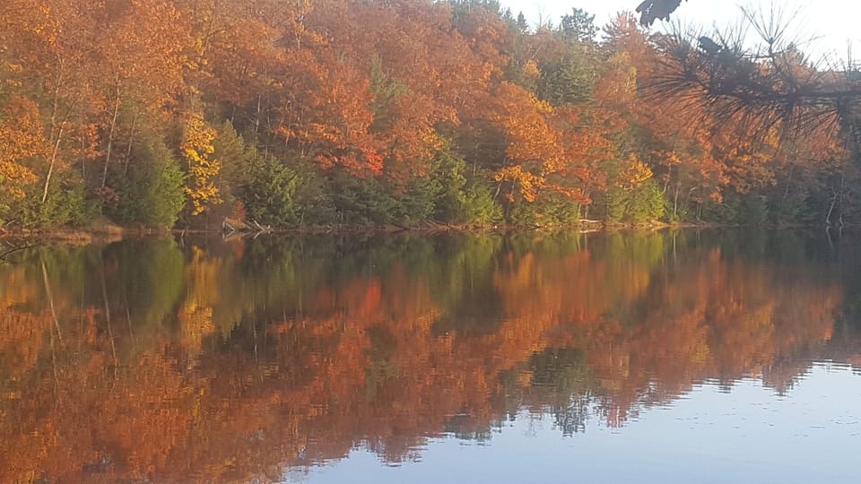 Fantastic fall colors surrounding the lake. 