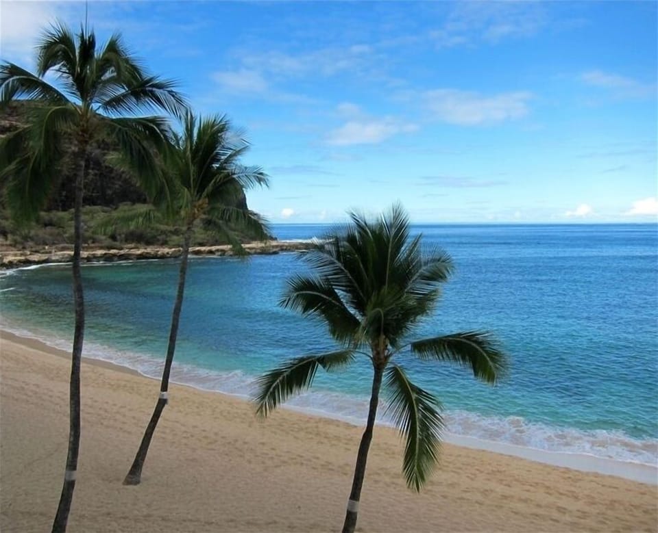Enjoy a great vacation in Hawaii!