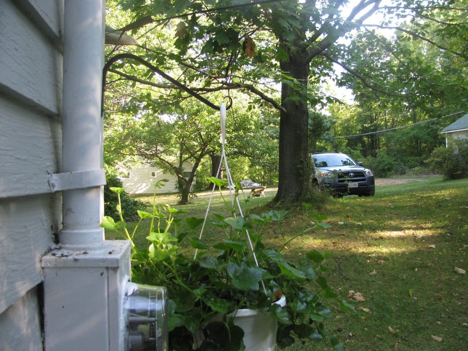 I took this of a baby deer from my door.The Green Cottage is in the distance. 