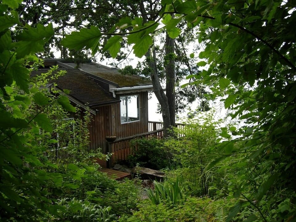 Cabin. Surrounded by native vegetation, and abundant wildlife! Relax or explore.