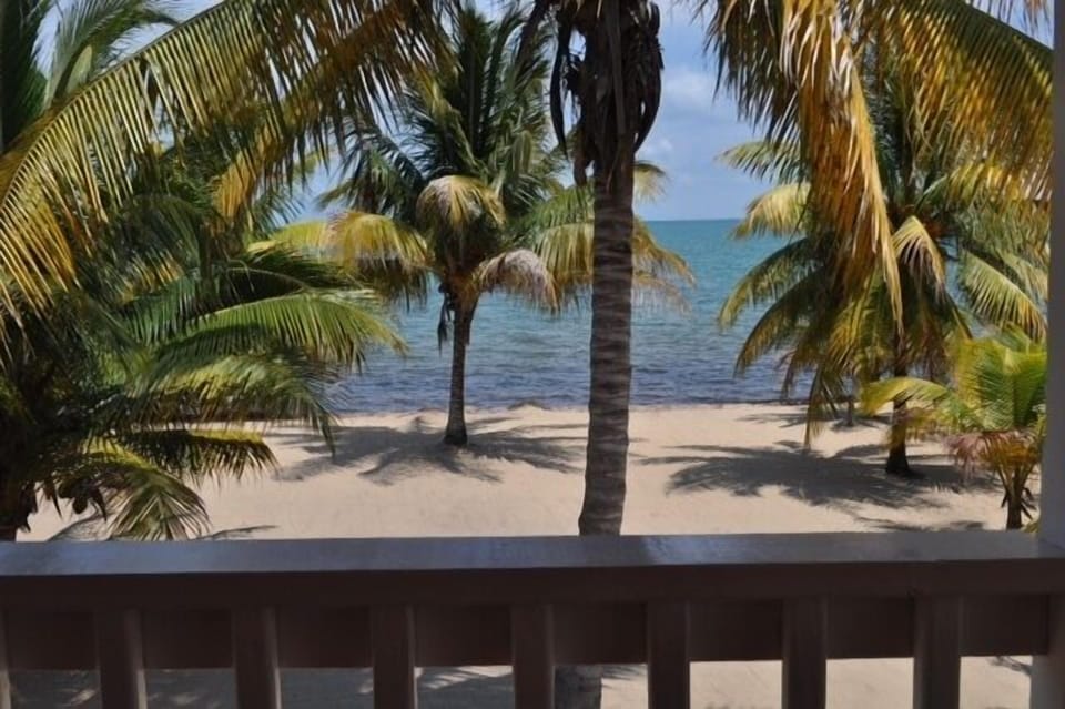 Picture yourself lulled by sea breezes in one of our two hammocks.