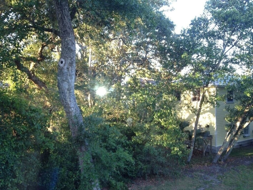 Living room/dining room view into our back yard. Back of upscale housing area.