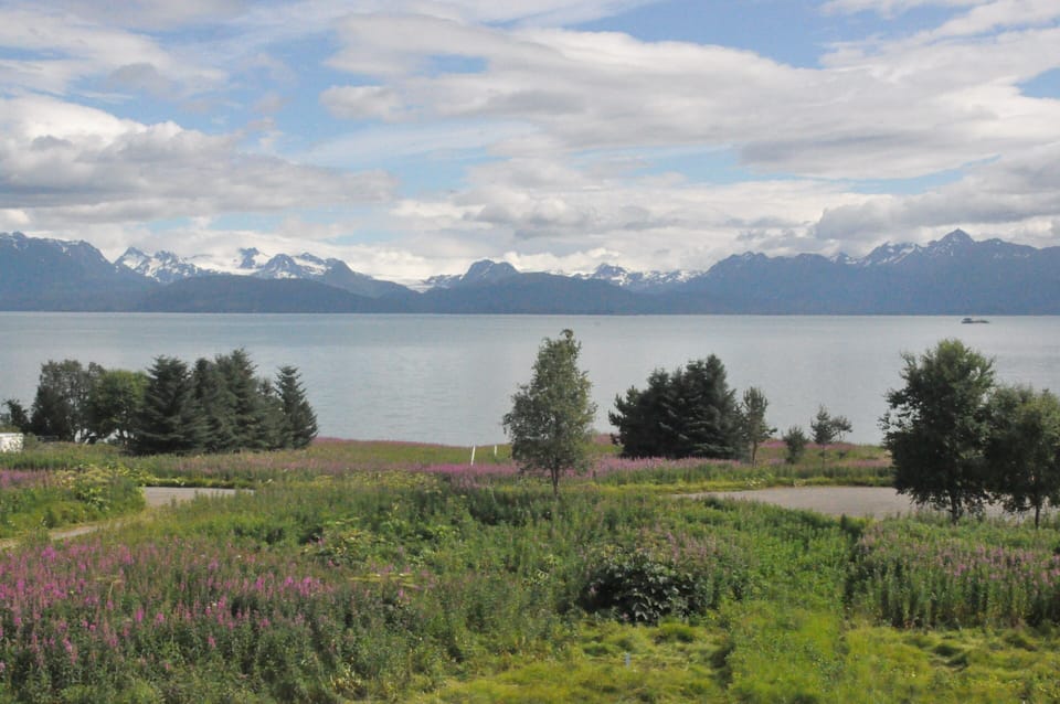 Glacier Haus Vista
Kachemak Bay