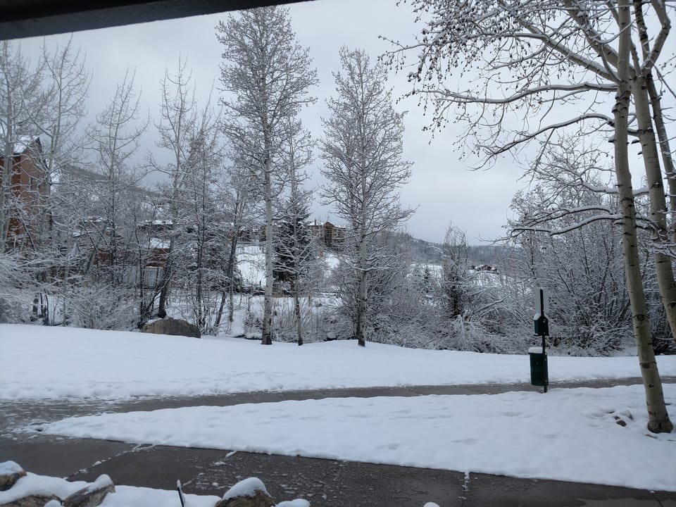 Looking out the front window, early season.