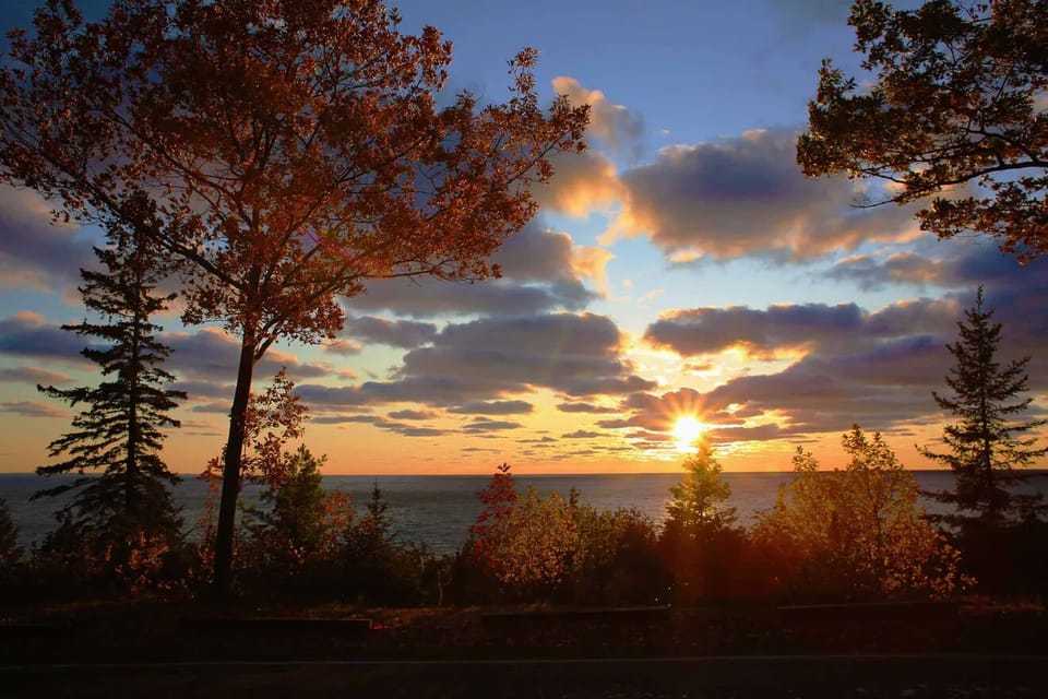 Tunnel of Trees sunset