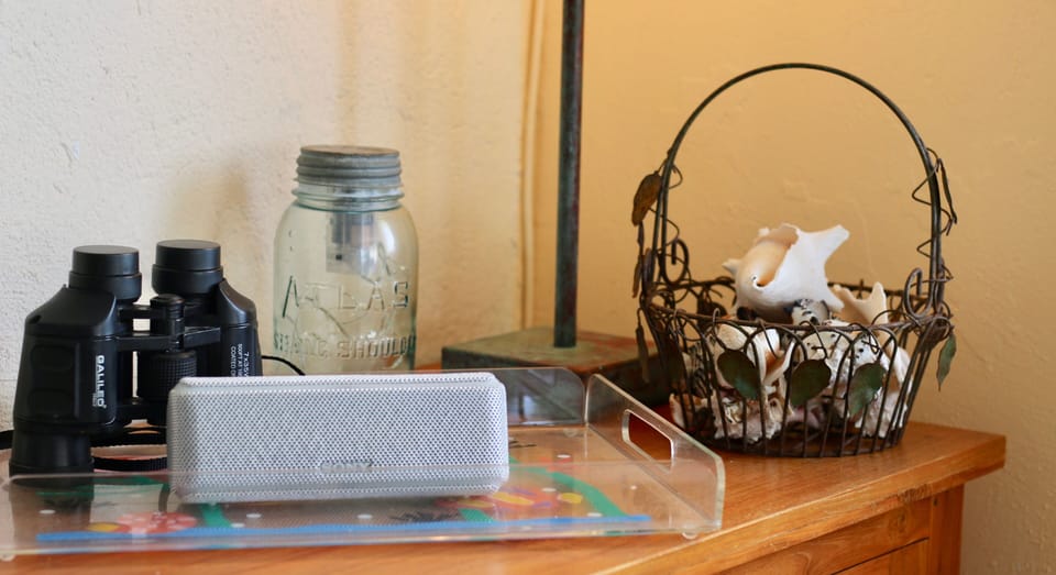 binoculars, Sony Bluetooth player.