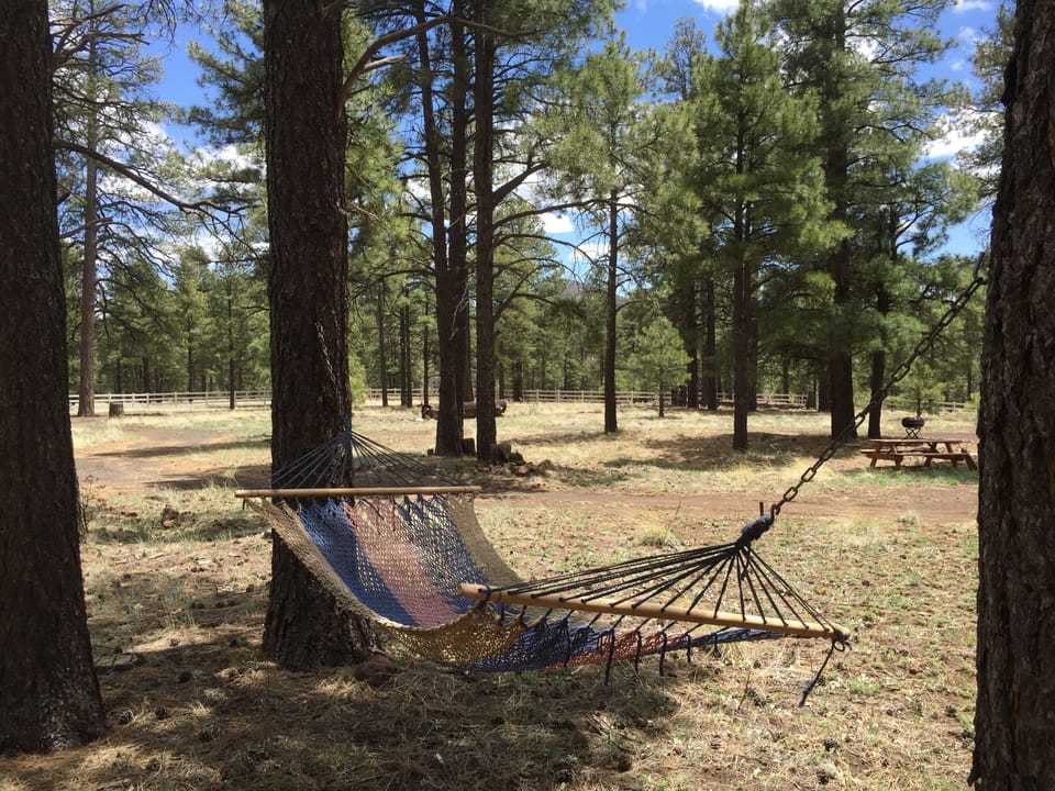 Hammock