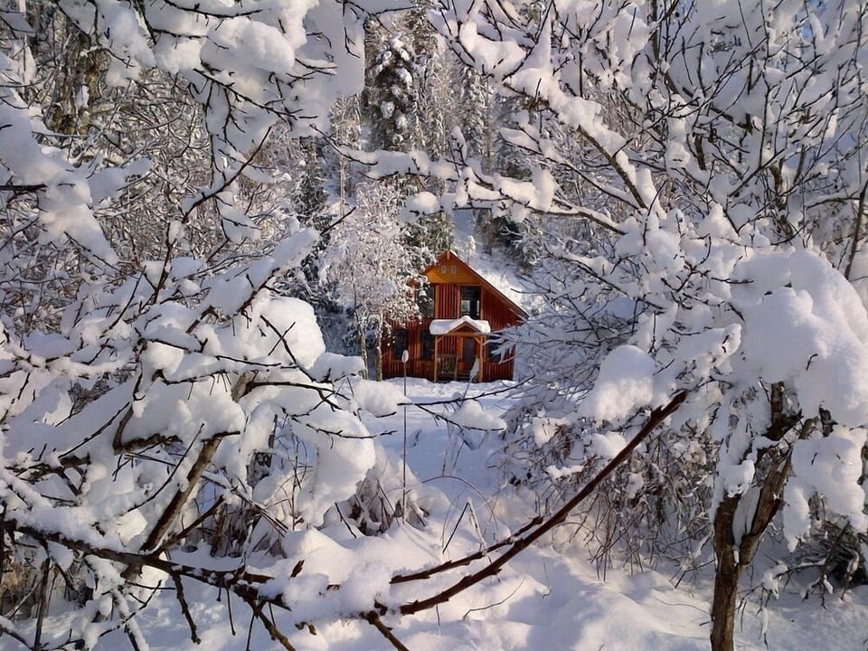 The Powder Chalet through the trees after a fresh snowfall.