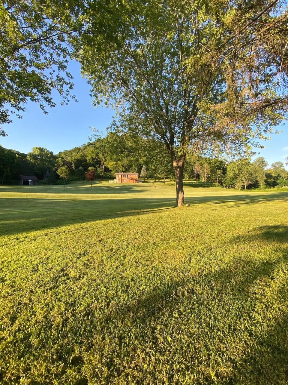 Yard view from down by the creek. 