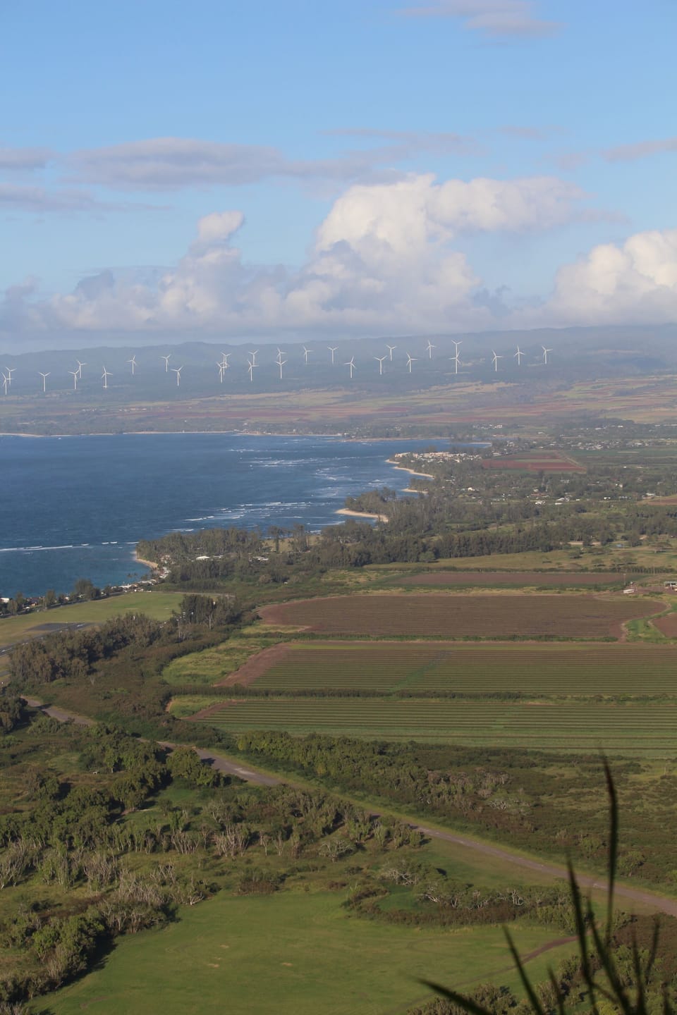 Welcome to O'ahu's North Shore! Elevated view of Mokuleia & Waialua shoreline.