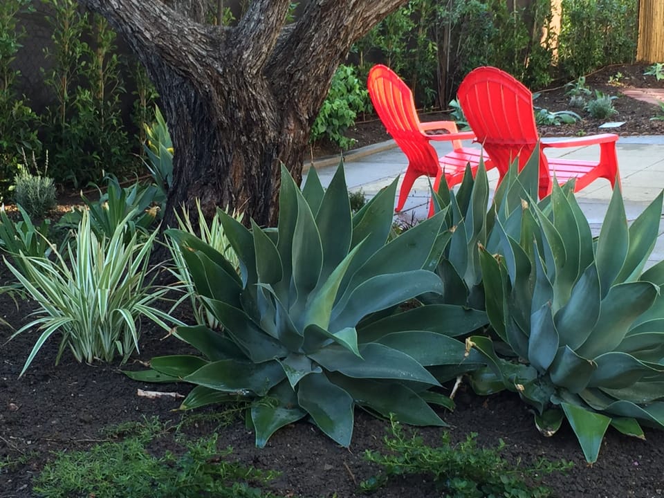 Take a seat and relax in your large, private backyard and enjoy the solace.