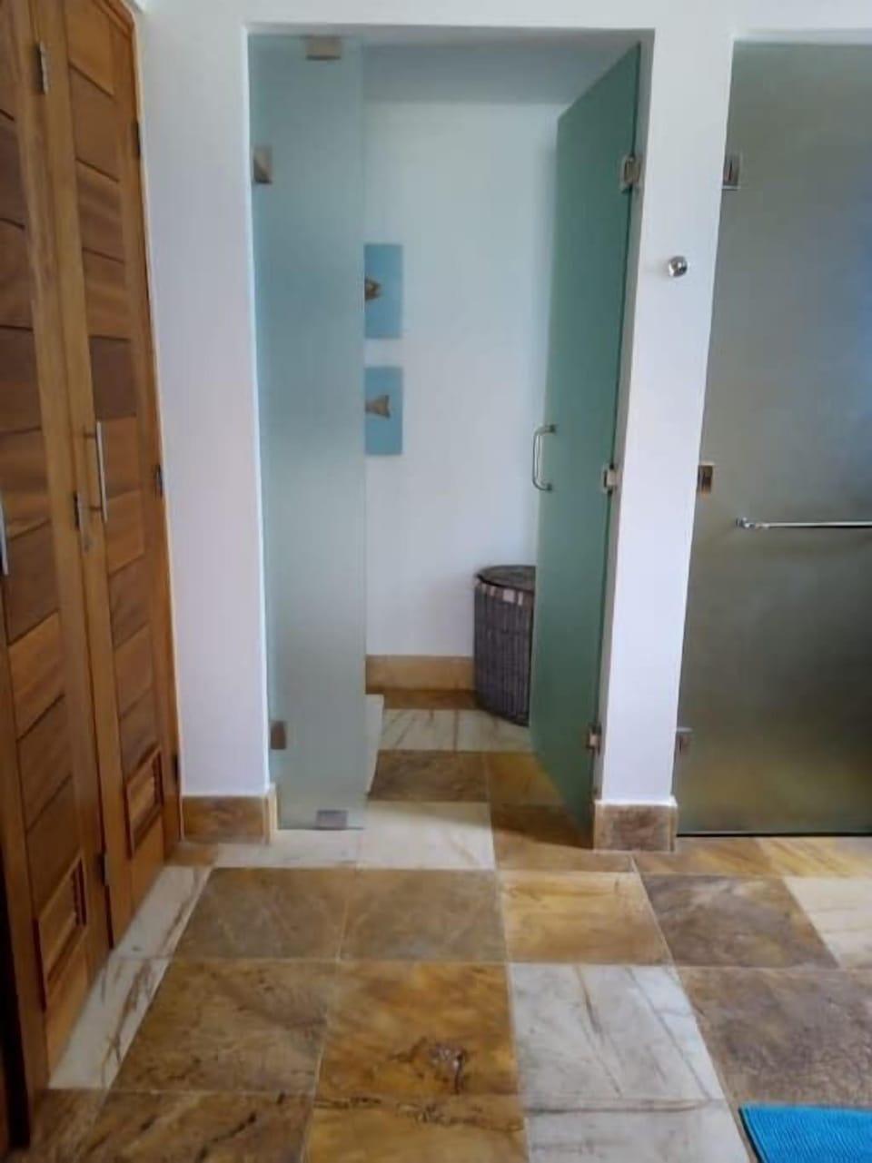 Main bathroom with separate toilet area and storage closet