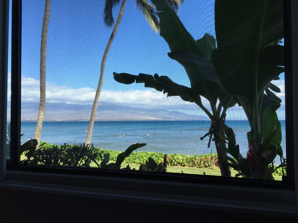 Another view out of master with plantation shutters open