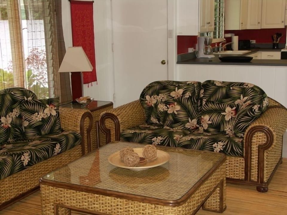 Relax in the living room while daiquiris are being blended in the kitchen