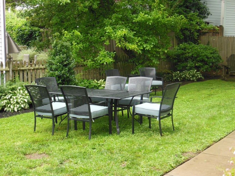 Side Yard (Has Two Picnic Tables), Hammock and Outdoor Shower
