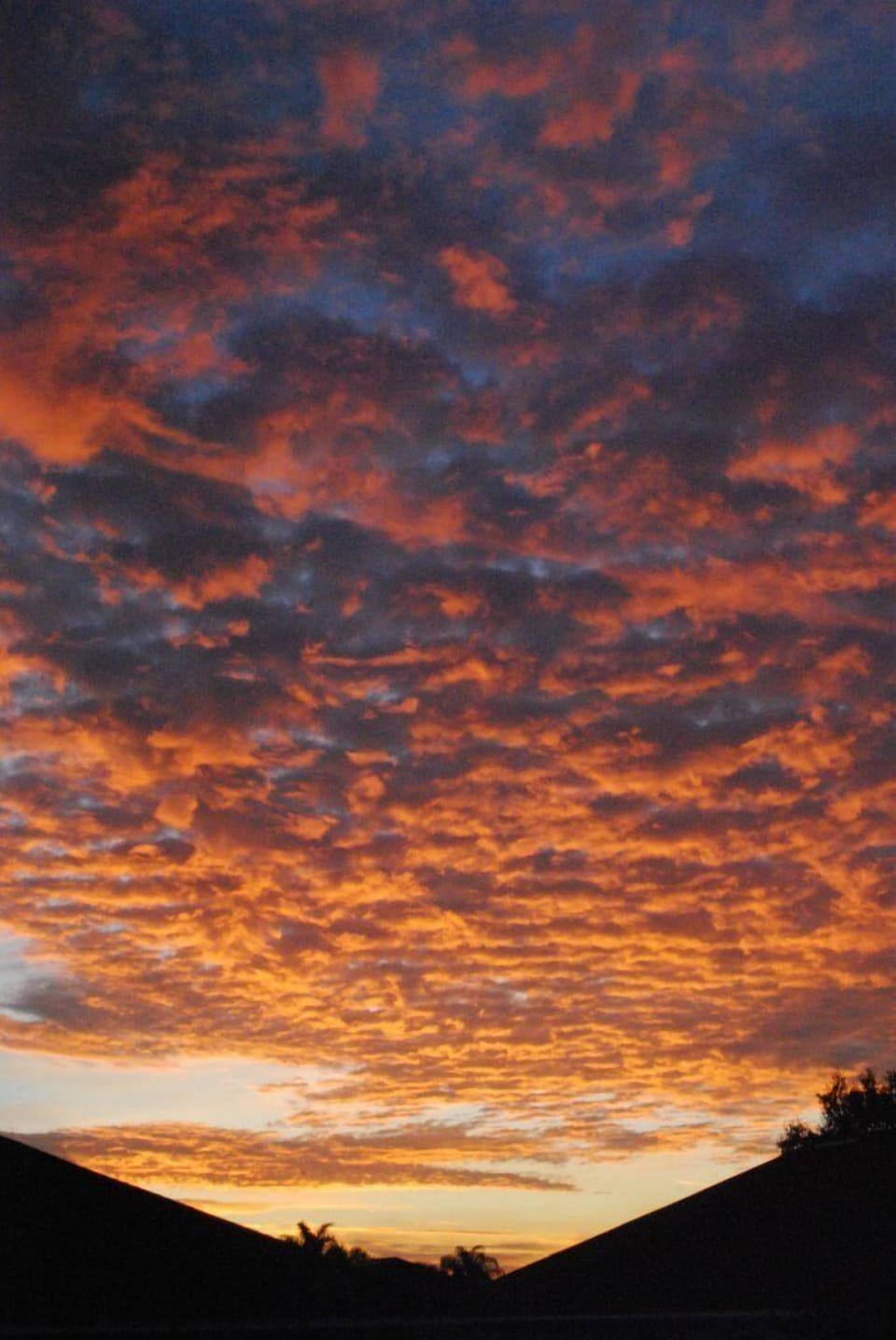 A January sunrise from the screened porch.