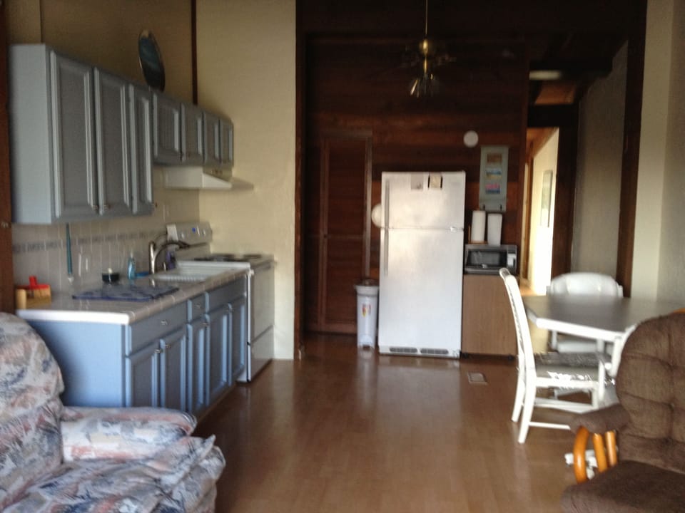 combination kitchen and living room.