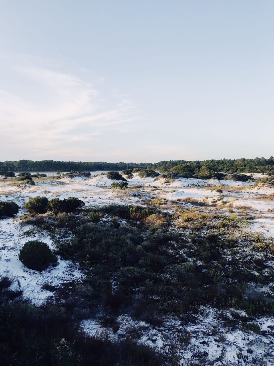 The undisturbed vegetation at Deer Lake Beach is stunningly beautiful. 
