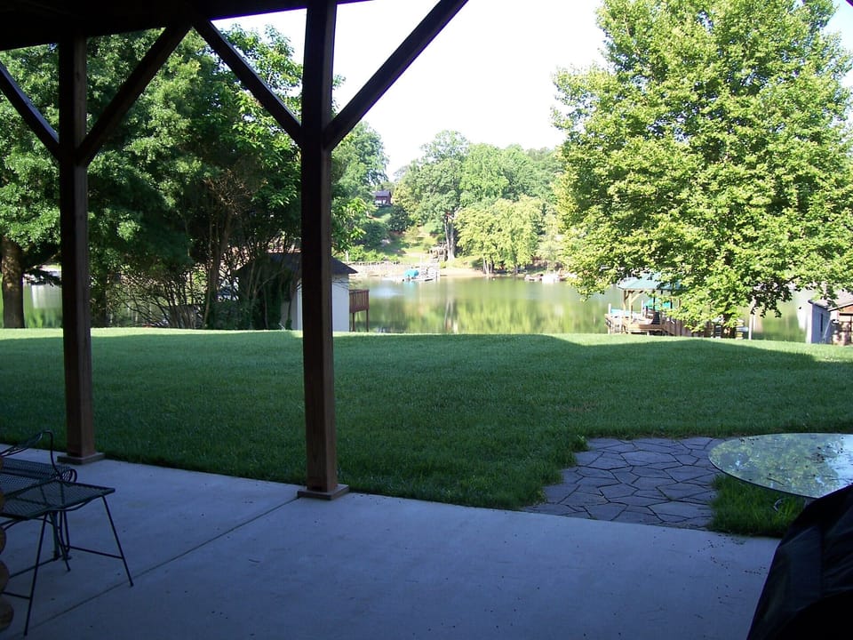 View from patio
