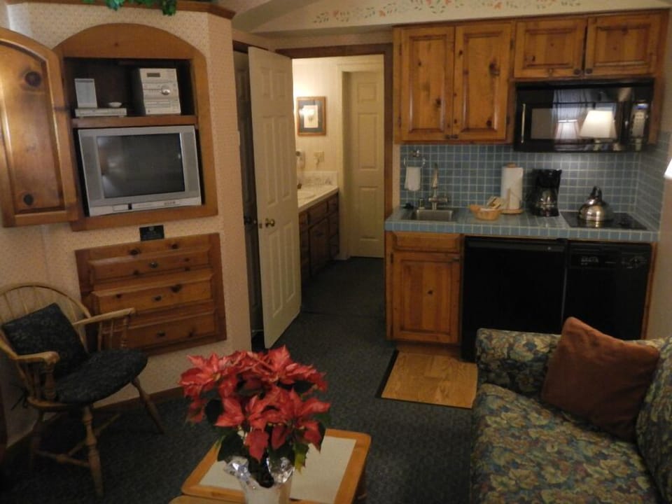 Living room with fold-out coach
