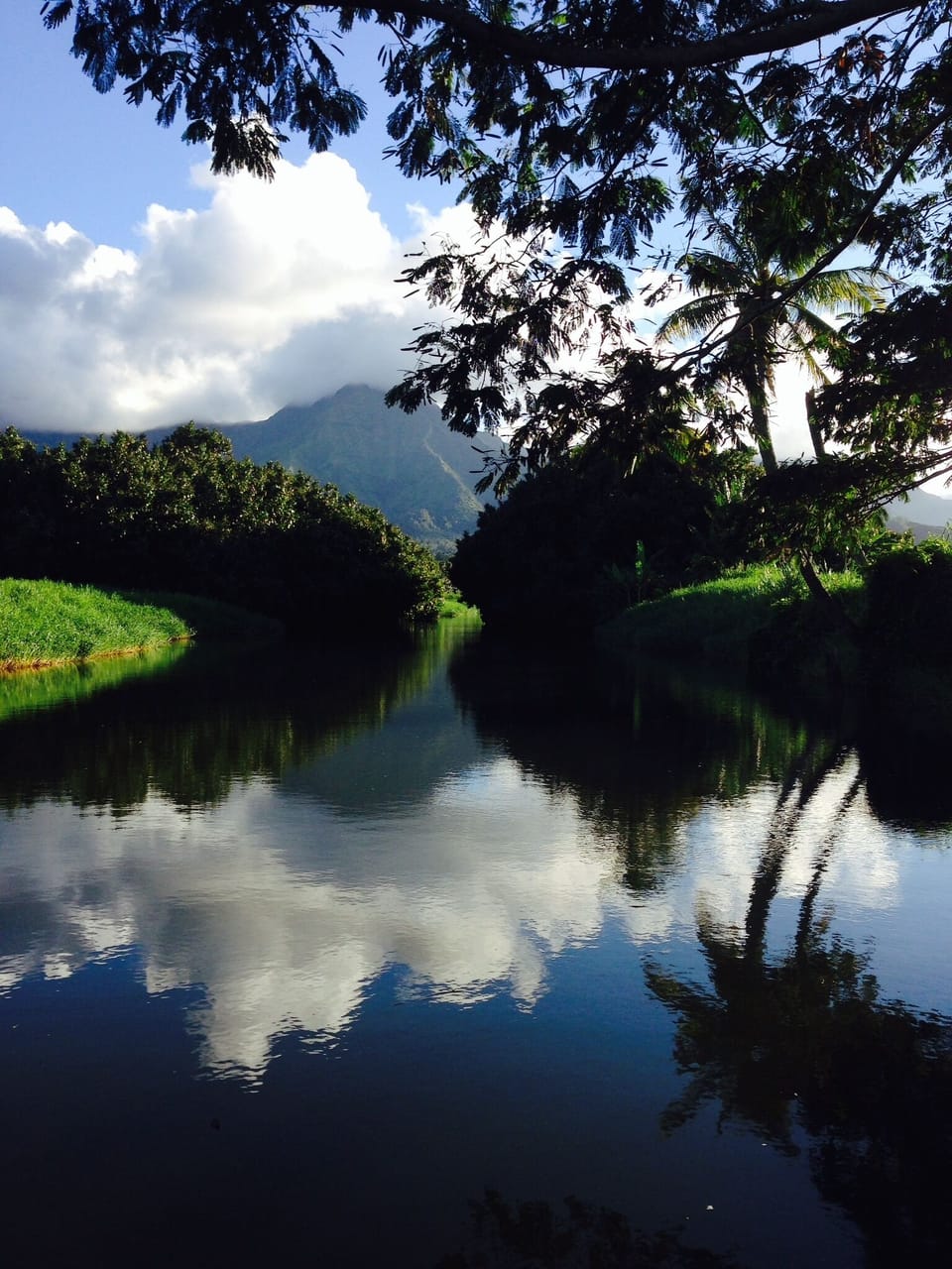 Hanalei River by kayak.  Three blocks from property.