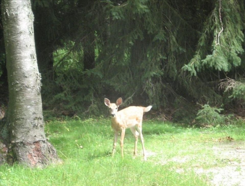 One of the neighbors