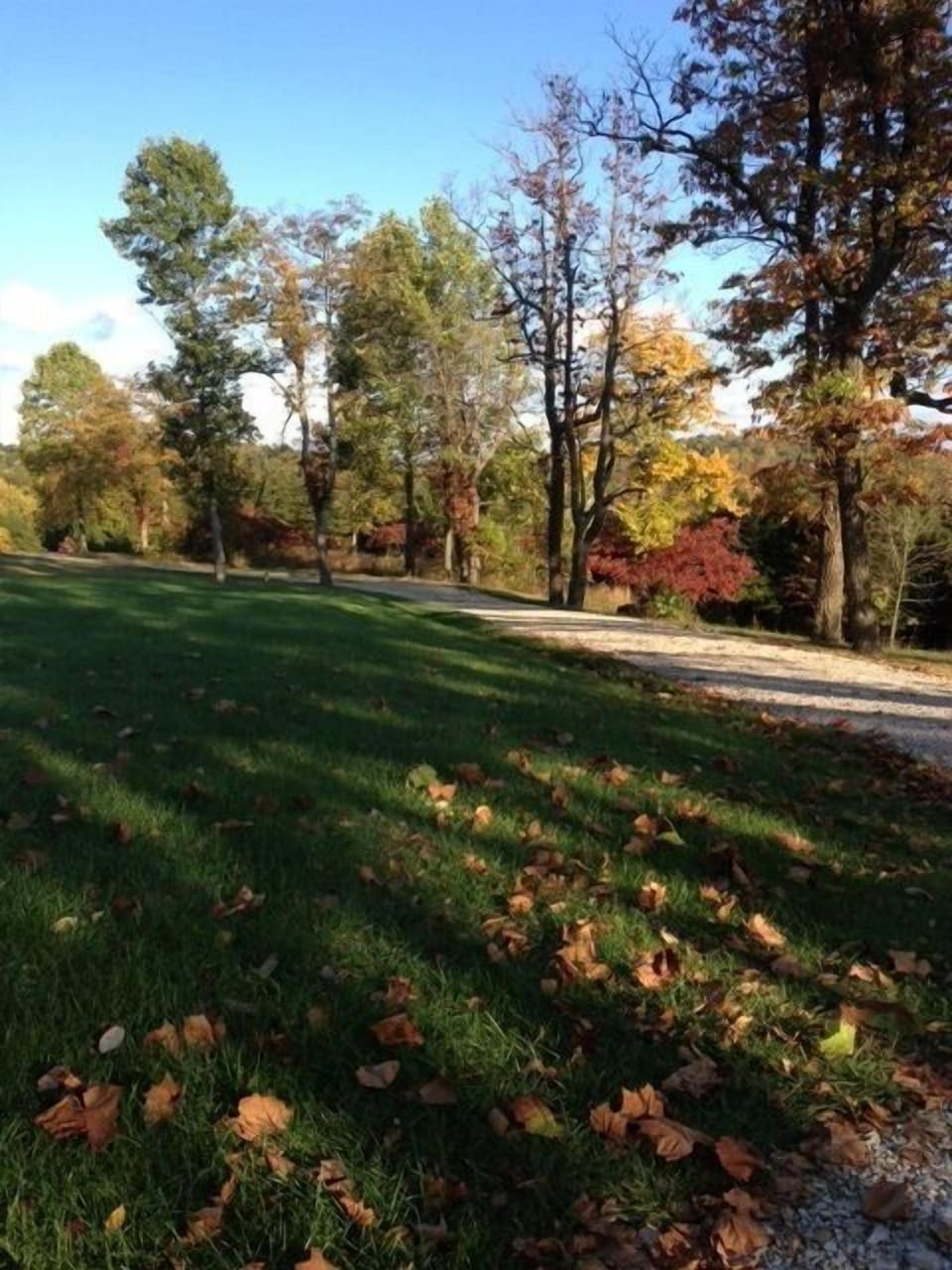 Looking down the driveway
