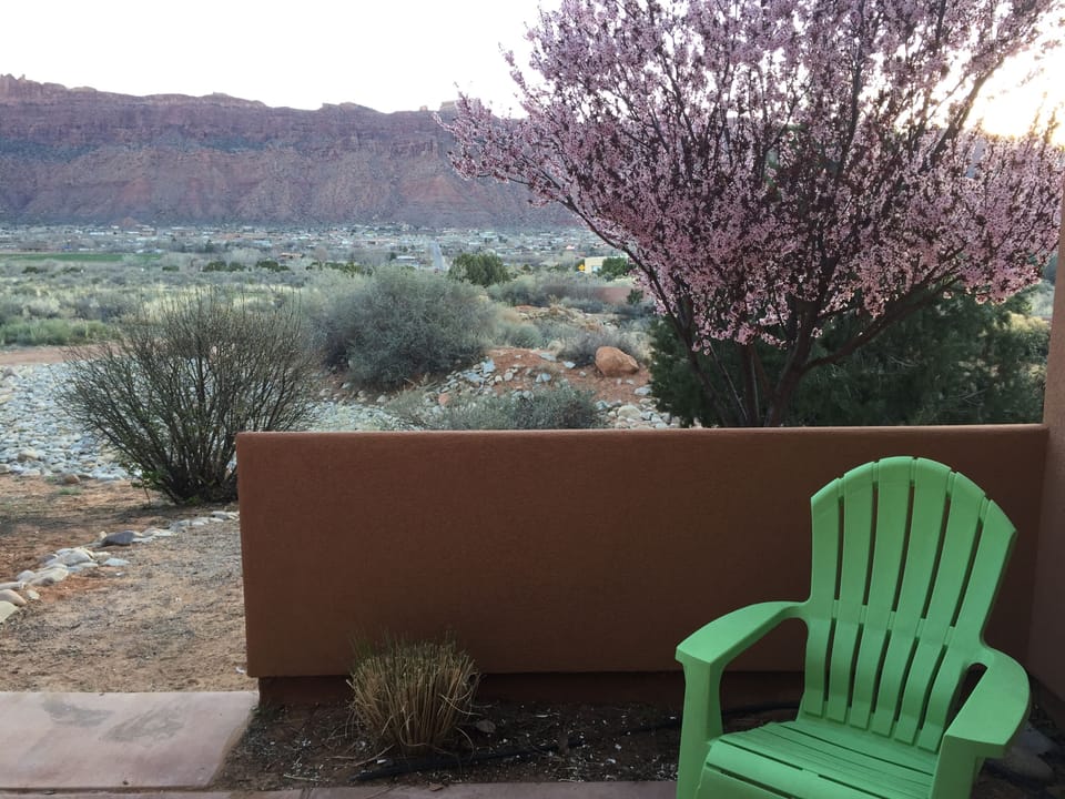  Back Patio view